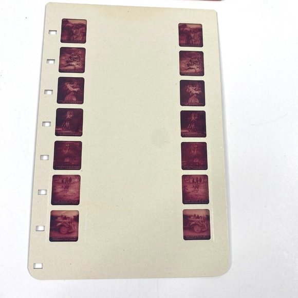 Tru-Vue Film Card Stereoview Boa Constrictor Hunter Snakes Reptiles Vintage M-11 - Picture 5 of 6